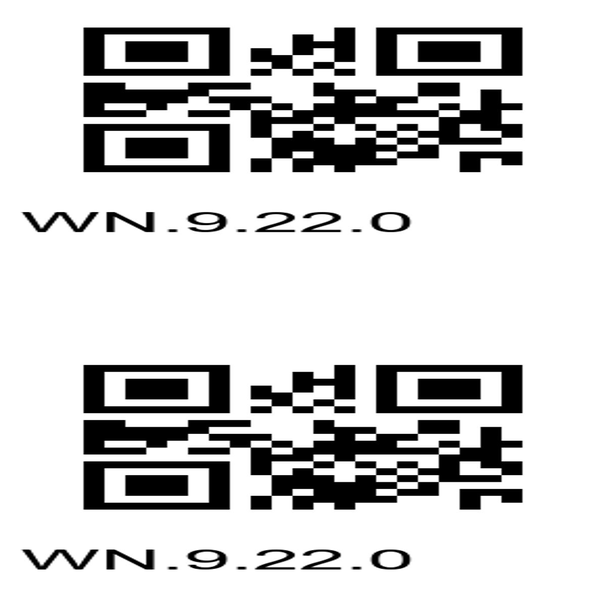 “Dual QR Codes WN.9.22.0 – Easy Access Awaits!”