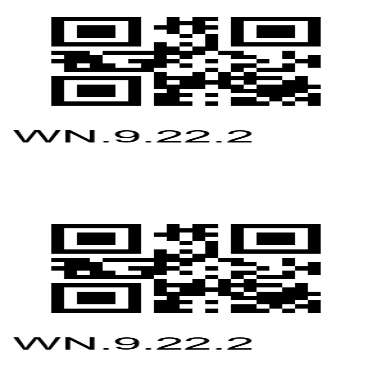 “Redundant Dual QR Codes for Easy Access – WN.9.22.2”