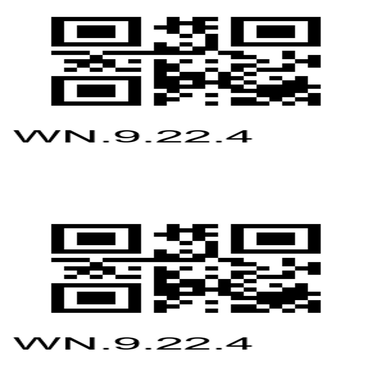 “Decoding Mystery: WN.9.22.4 QR Code Duo”