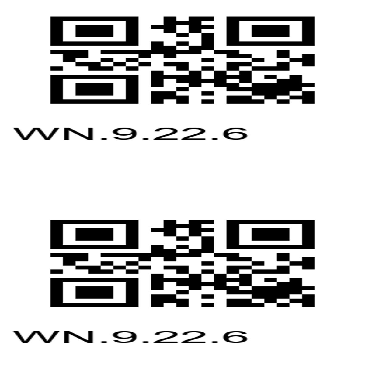 “Dual QR Codes – Access WN.9.22.6 Data Resources”