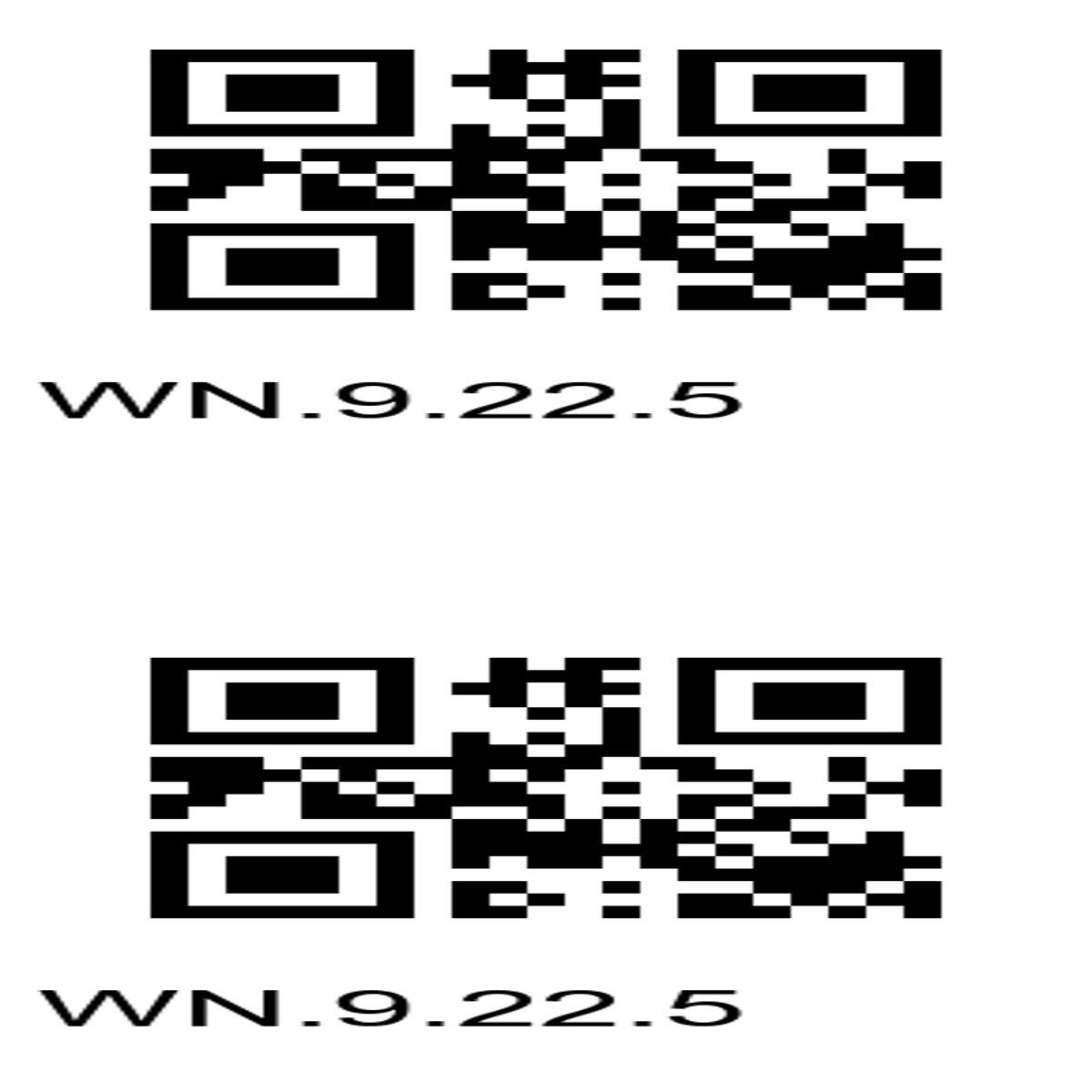 “Double QR Code Access – WN.9.22.5 Identifier”