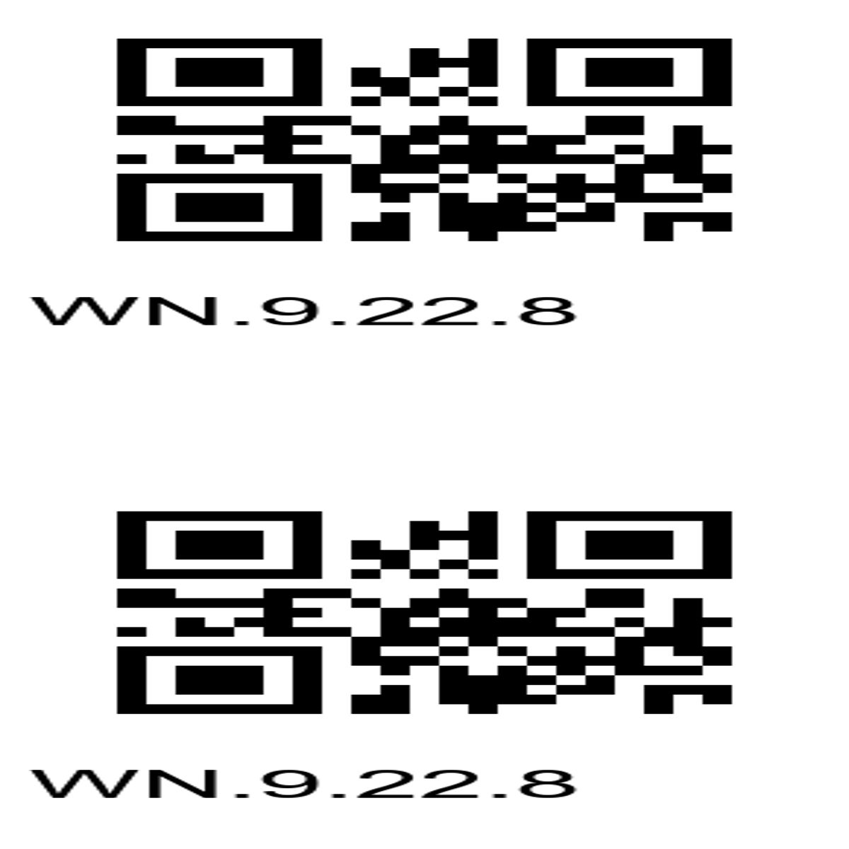 “Dual QR Codes with Identifier WN.9.22.8 – Scan for Info!”