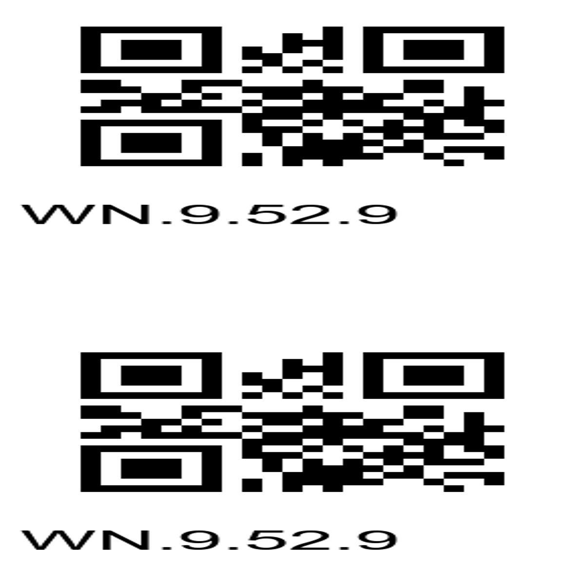 “Dual QR Codes – WN.9.52.9 Identification Tool”