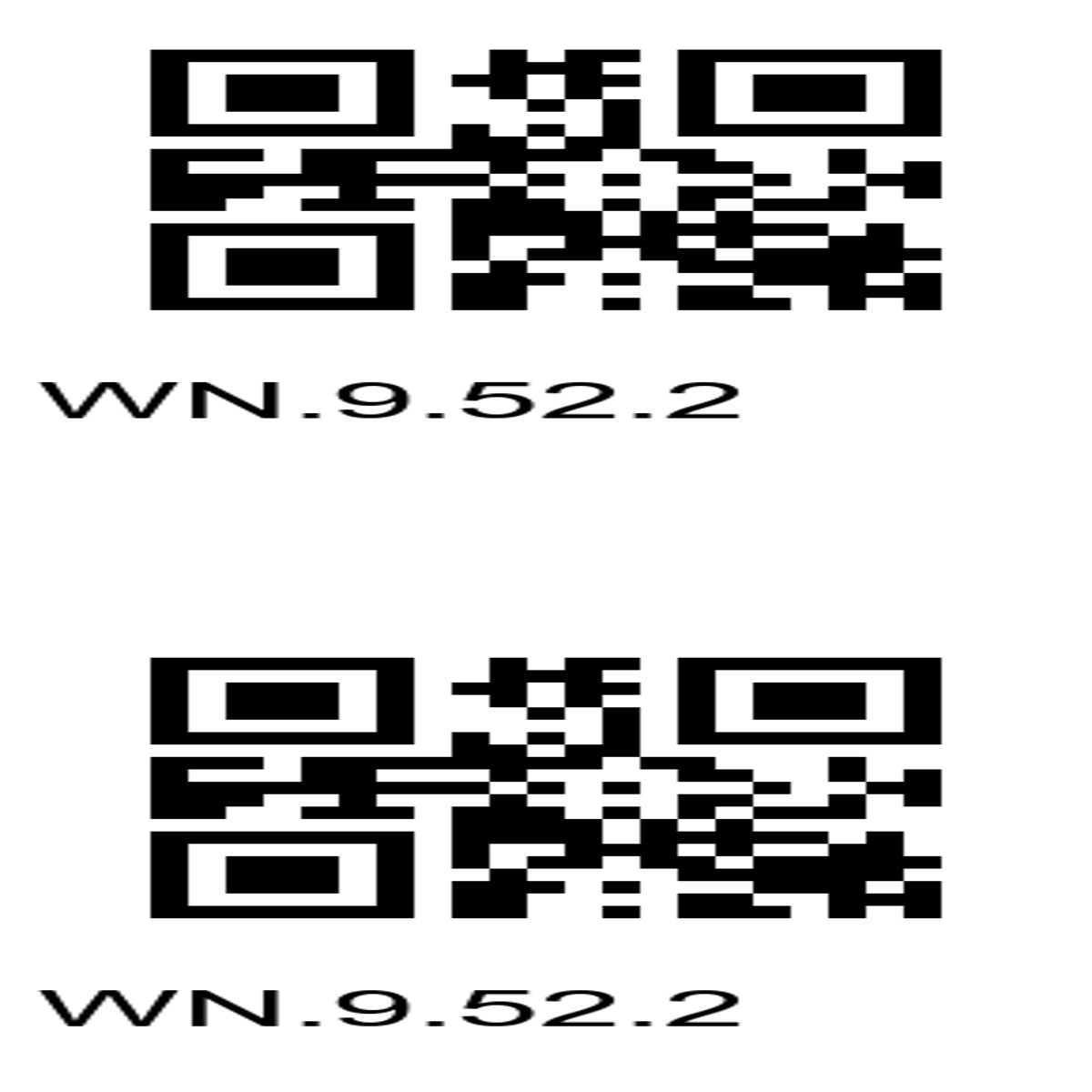 “Identical QR Codes with Reference WN.9.52.2”