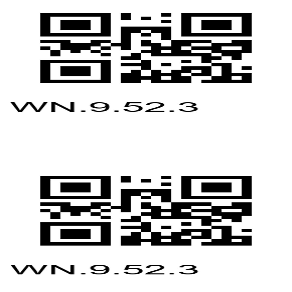 “Dual QR Codes: Access Unique Links with WN.9.52.3”